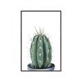 Picture of Cactus     _GroupedProduct_Rectangle_Portrait_Canvas_Framed_