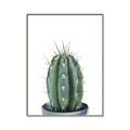 Picture of Cactus     _GroupedProduct_Rectangle_Portrait_Canvas_Framed_
