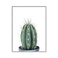 Picture of Cactus     _GroupedProduct_Rectangle_Portrait_Canvas_Framed_