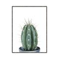 Picture of Cactus     _GroupedProduct_Rectangle_Portrait_Canvas_Framed_