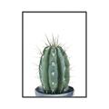 Picture of Cactus     _GroupedProduct_Rectangle_Portrait_Canvas_Framed_