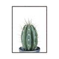 Picture of Cactus     _GroupedProduct_Rectangle_Portrait_Canvas_Framed_