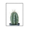 Picture of Cactus     _GroupedProduct_Rectangle_Portrait_Canvas_Framed_