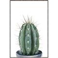 Picture of Cactus     _GroupedProduct_Rectangle_Portrait_Canvas_Framed_