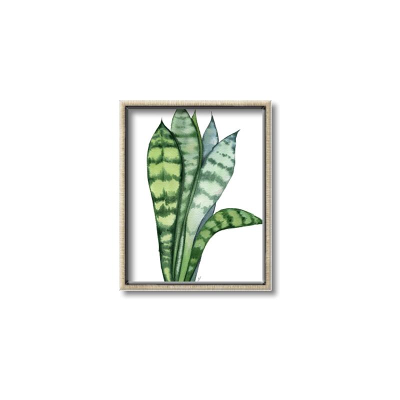 Picture of Snake Leaves _GroupedProduct_Rectangle_Portrait_Canvas_Framed_