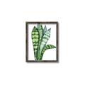 Picture of Snake Leaves _GroupedProduct_Rectangle_Portrait_Canvas_Framed_