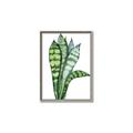 Picture of Snake Leaves _GroupedProduct_Rectangle_Portrait_Canvas_Framed_