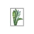 Picture of Snake Leaves _GroupedProduct_Rectangle_Portrait_Canvas_Framed_