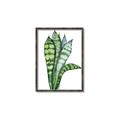 Picture of Snake Leaves _GroupedProduct_Rectangle_Portrait_Canvas_Framed_