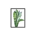 Picture of Snake Leaves _GroupedProduct_Rectangle_Portrait_Canvas_Framed_