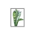 Picture of Snake Leaves _GroupedProduct_Rectangle_Portrait_Canvas_Framed_