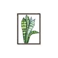 Picture of Snake Leaves _GroupedProduct_Rectangle_Portrait_Canvas_Framed_