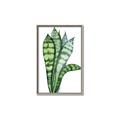 Picture of Snake Leaves _GroupedProduct_Rectangle_Portrait_Canvas_Framed_