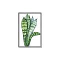 Picture of Snake Leaves _GroupedProduct_Rectangle_Portrait_Canvas_Framed_