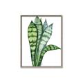 Picture of Snake Leaves _GroupedProduct_Rectangle_Portrait_Canvas_Framed_