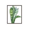 Picture of Snake Leaves _GroupedProduct_Rectangle_Portrait_Canvas_Framed_