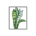 Picture of Snake Leaves _GroupedProduct_Rectangle_Portrait_Canvas_Framed_