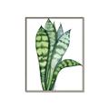 Picture of Snake Leaves _GroupedProduct_Rectangle_Portrait_Canvas_Framed_