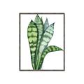 Picture of Snake Leaves _GroupedProduct_Rectangle_Portrait_Canvas_Framed_