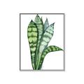 Picture of Snake Leaves _GroupedProduct_Rectangle_Portrait_Canvas_Framed_