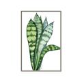 Picture of Snake Leaves _GroupedProduct_Rectangle_Portrait_Canvas_Framed_