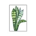 Picture of Snake Leaves _GroupedProduct_Rectangle_Portrait_Canvas_Framed_