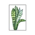 Picture of Snake Leaves _GroupedProduct_Rectangle_Portrait_Canvas_Framed_