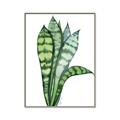 Picture of Snake Leaves _GroupedProduct_Rectangle_Portrait_Canvas_Framed_