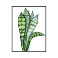 Picture of Snake Leaves _GroupedProduct_Rectangle_Portrait_Canvas_Framed_