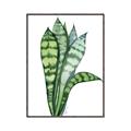 Picture of Snake Leaves _GroupedProduct_Rectangle_Portrait_Canvas_Framed_