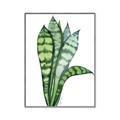 Picture of Snake Leaves _GroupedProduct_Rectangle_Portrait_Canvas_Framed_