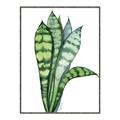 Picture of Snake Leaves _GroupedProduct_Rectangle_Portrait_Canvas_Framed_
