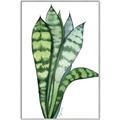 Picture of Snake Leaves _GroupedProduct_Rectangle_Portrait_Canvas_Framed_