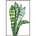 Picture of Snake Leaves _GroupedProduct_Rectangle_Portrait_Canvas_Framed_
