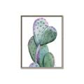 Picture of Prickly Pear Cactus  _GroupedProduct_Rectangle_Portrait_Canvas_Framed_