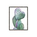 Picture of Prickly Pear Cactus  _GroupedProduct_Rectangle_Portrait_Canvas_Framed_