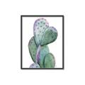 Picture of Prickly Pear Cactus  _GroupedProduct_Rectangle_Portrait_Canvas_Framed_
