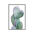 Picture of Prickly Pear Cactus  _GroupedProduct_Rectangle_Portrait_Canvas_Framed_