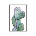 Picture of Prickly Pear Cactus  _GroupedProduct_Rectangle_Portrait_Canvas_Framed_