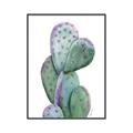 Picture of Prickly Pear Cactus  _GroupedProduct_Rectangle_Portrait_Canvas_Framed_