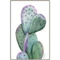 Picture of Prickly Pear Cactus  _GroupedProduct_Rectangle_Portrait_Canvas_Framed_