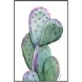 Picture of Prickly Pear Cactus  _GroupedProduct_Rectangle_Portrait_Canvas_Framed_