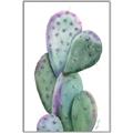 Picture of Prickly Pear Cactus  _GroupedProduct_Rectangle_Portrait_Canvas_Framed_