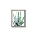Picture of Zebra Succulent  _GroupedProduct_Rectangle_Portrait_Canvas_Framed_