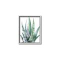 Picture of Zebra Succulent  _GroupedProduct_Rectangle_Portrait_Canvas_Framed_