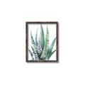 Picture of Zebra Succulent  _GroupedProduct_Rectangle_Portrait_Canvas_Framed_