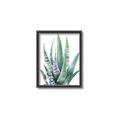 Picture of Zebra Succulent  _GroupedProduct_Rectangle_Portrait_Canvas_Framed_