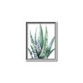 Picture of Zebra Succulent  _GroupedProduct_Rectangle_Portrait_Canvas_Framed_