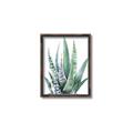 Picture of Zebra Succulent  _GroupedProduct_Rectangle_Portrait_Canvas_Framed_