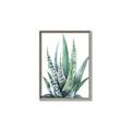 Picture of Zebra Succulent  _GroupedProduct_Rectangle_Portrait_Canvas_Framed_